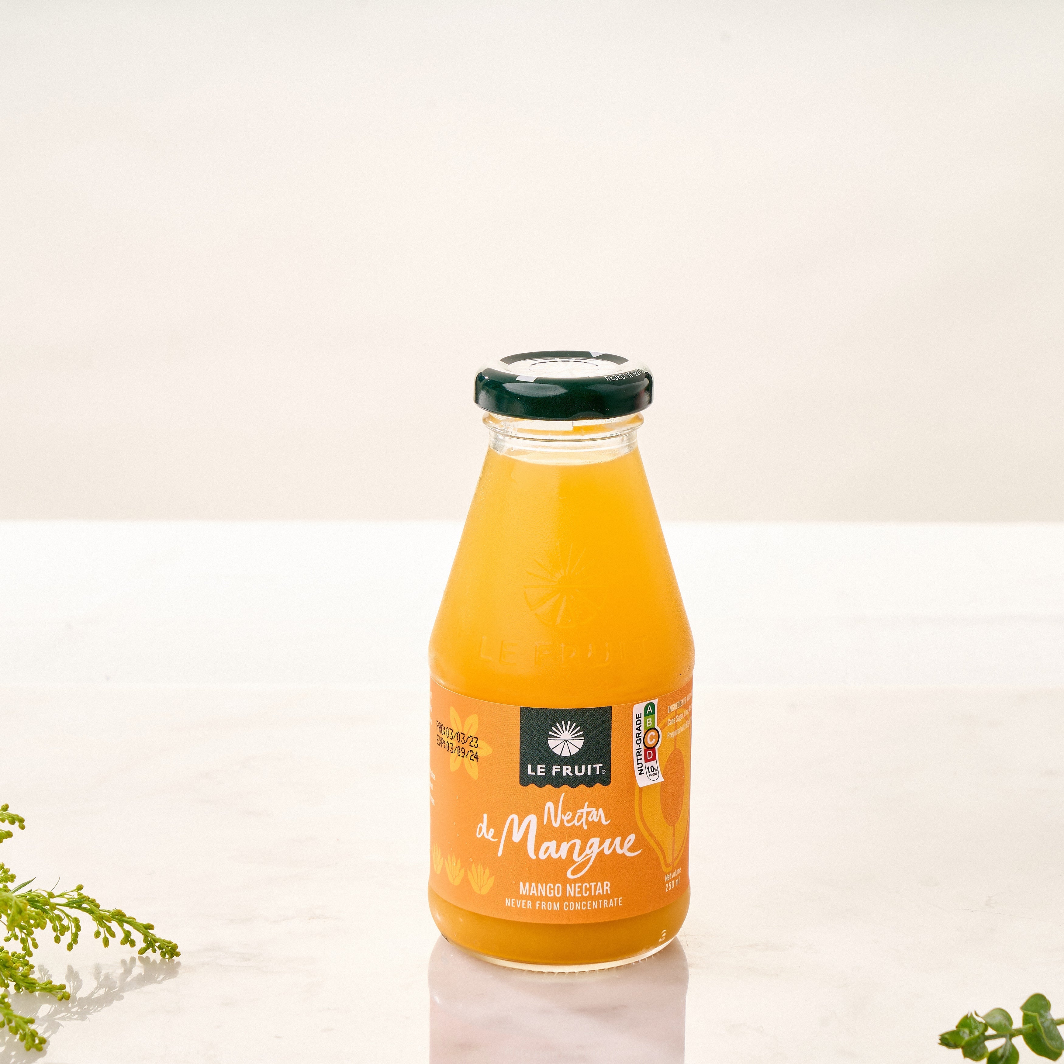 Mango Nectar (Pack of 6)