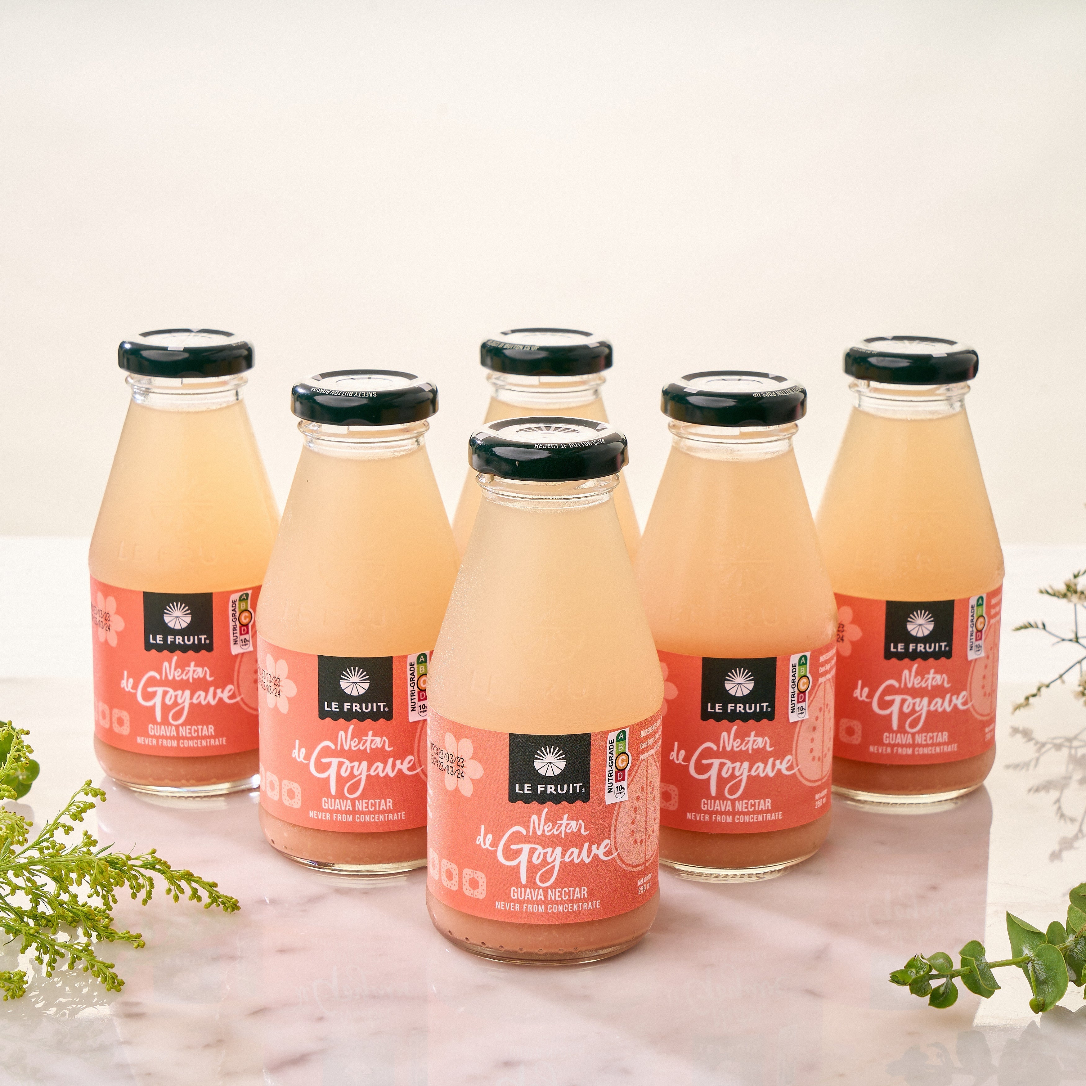 Guava Nectar (Pack of 6)