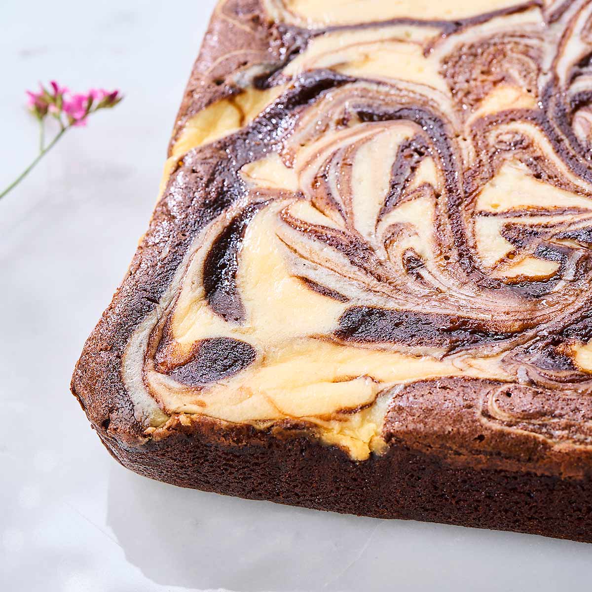 Cheesecake Brownie